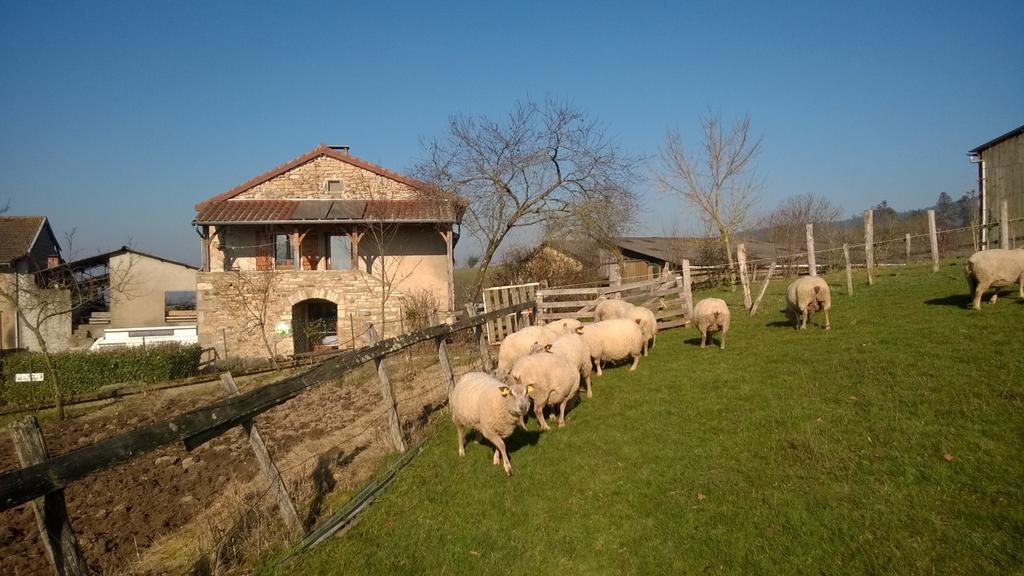 Ferme De La Corbette Cluny Exterior photo